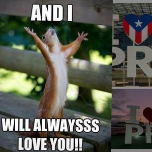 😂 Laugh & Follow 🤣